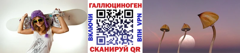 Псилоцибиновые грибы прущие грибы  Сарапул 